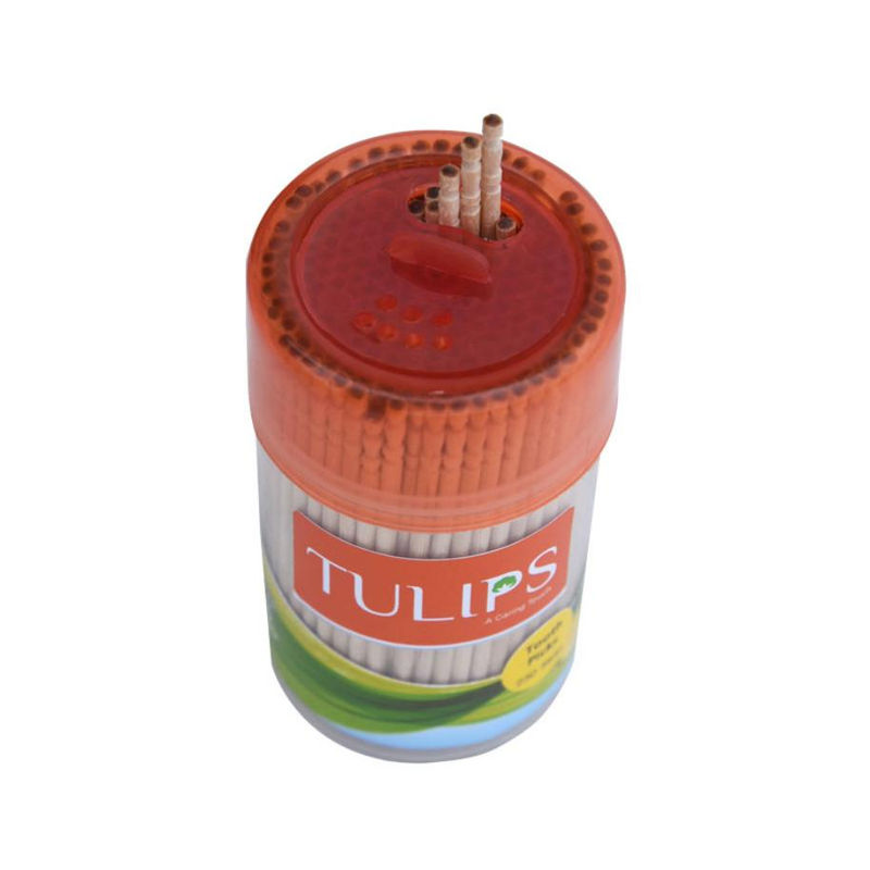 Tulips Toothpicks Wooden Jar
