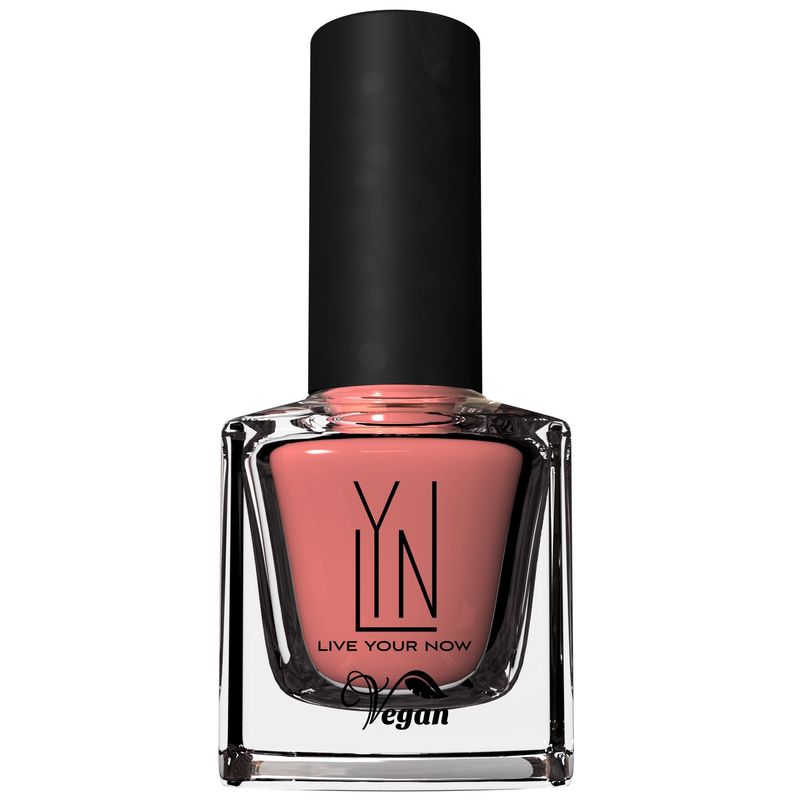 LYN Hot Picks Collection - Palace Of Winds