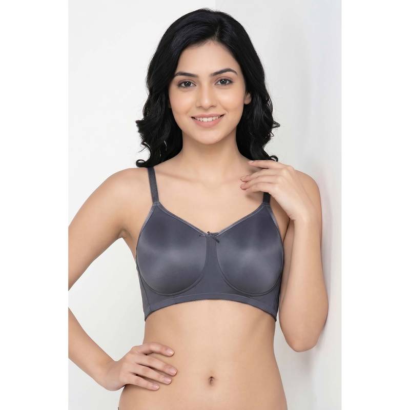 Zivame Padded Non Wired 3/4Th Coverage T-Shirt Bra - Folkstone Grey (38DD)