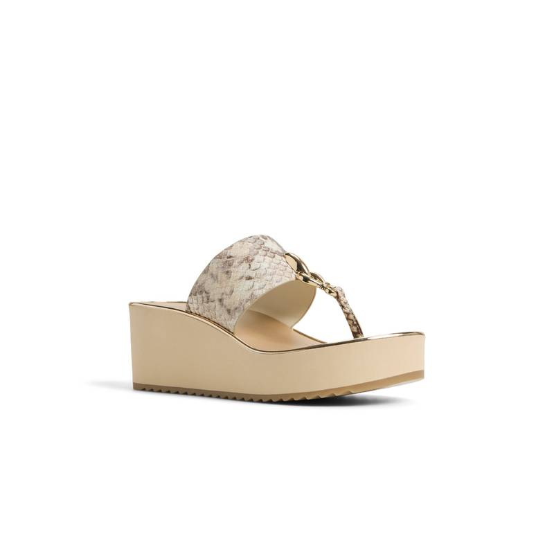 Aldo PENELOPY Gold Ladies EVA Wedges (UK 4)