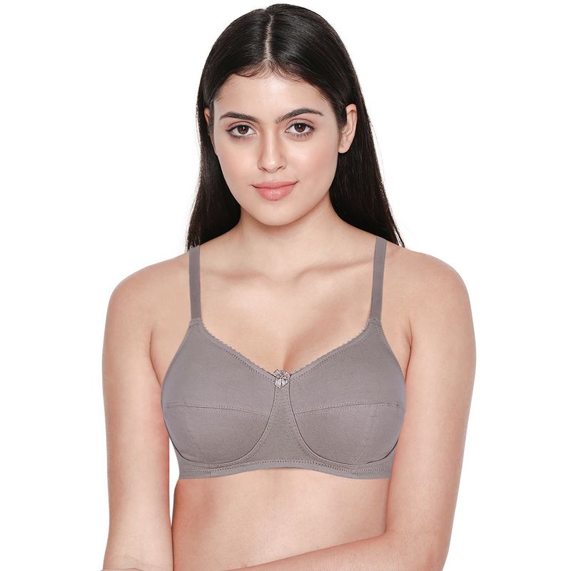 Shyaway Women Storm Front Grey Non Padded Seamed Cup Everyday Bra (30D)