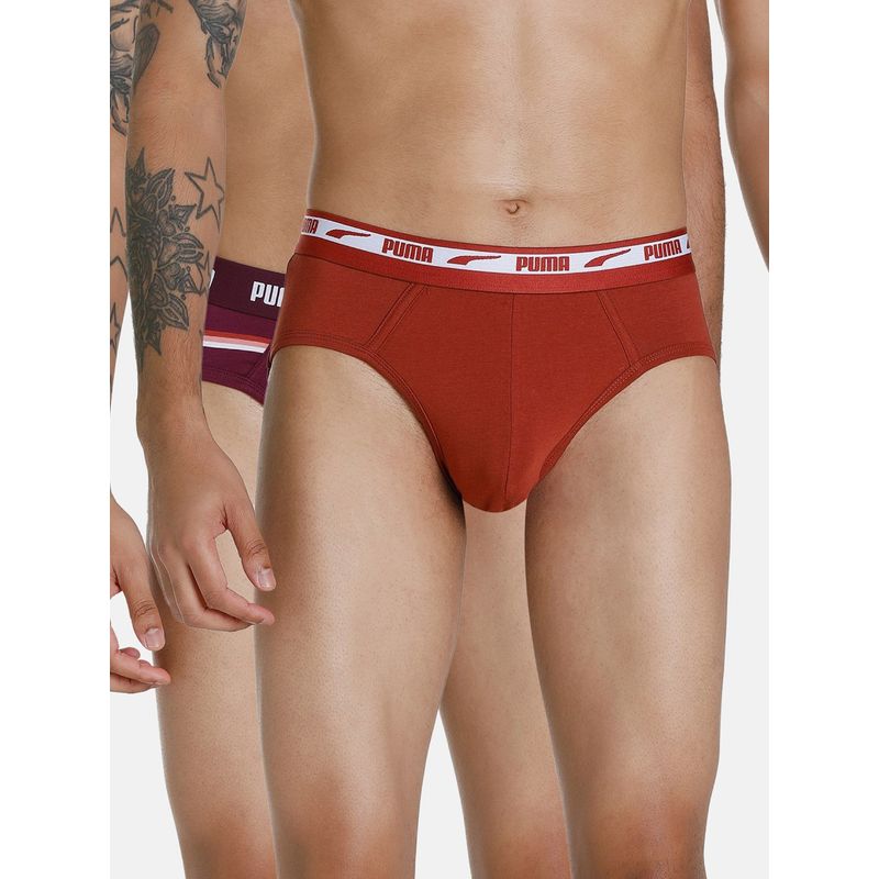 Puma Stretch Stripe Briefs-Multi-Color (Pack of 2) (S)