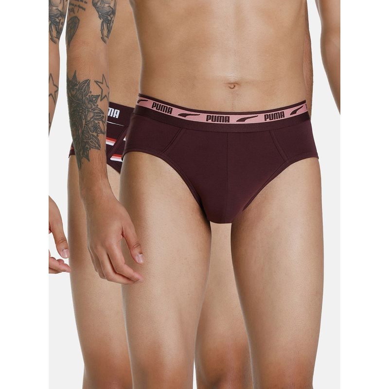 Puma Stretch Stripe Briefs-Brown (Pack of 2) (XL)