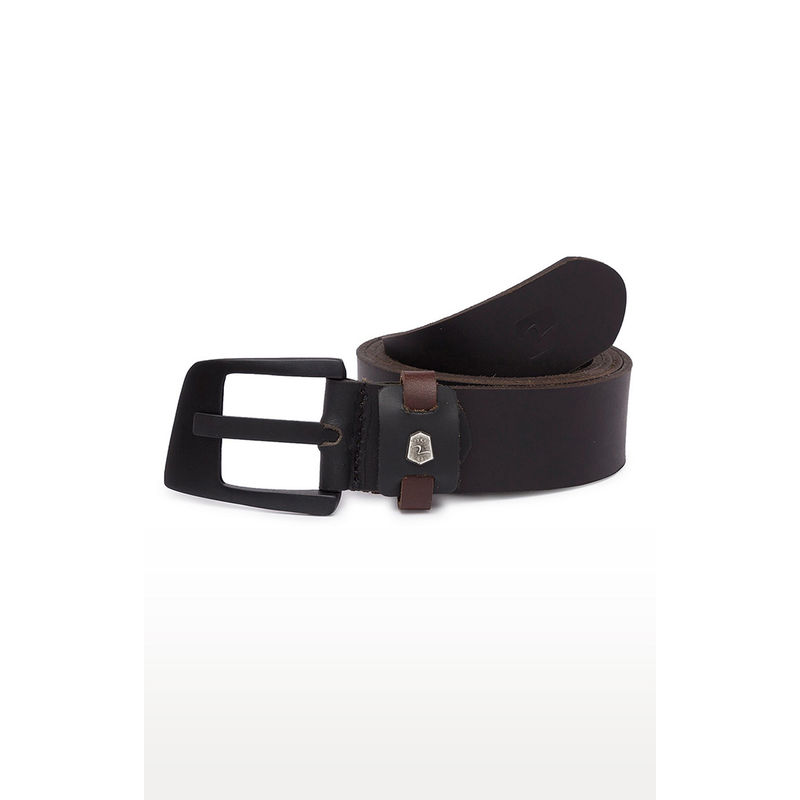 spykar belt price