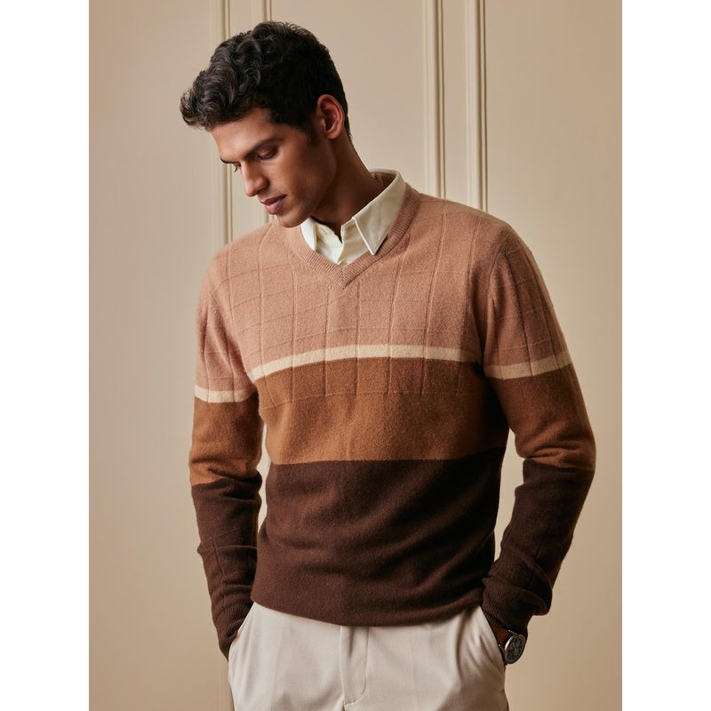 Andamen Brown Men's Full Sleeve Pullover Regular Fit Sweater (M)