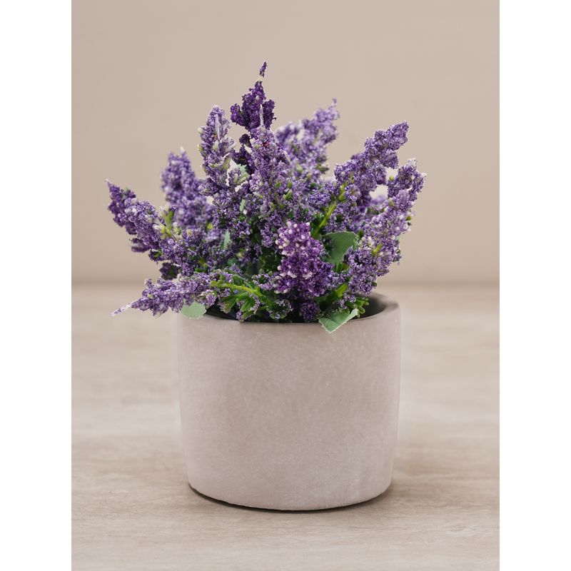 Pure Home + Living Purple Faux Lavender Plant with Cement Pot Buy Pure Home + Living Purple