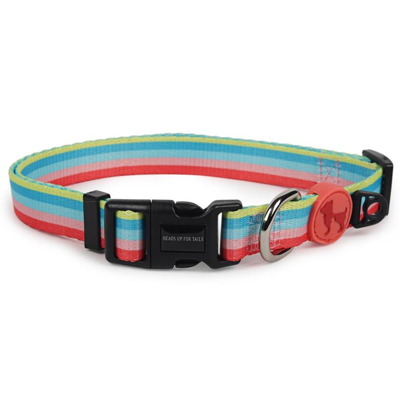 Heads Up For Tails Rainbow Popsicle Dog Collar (Medium)
