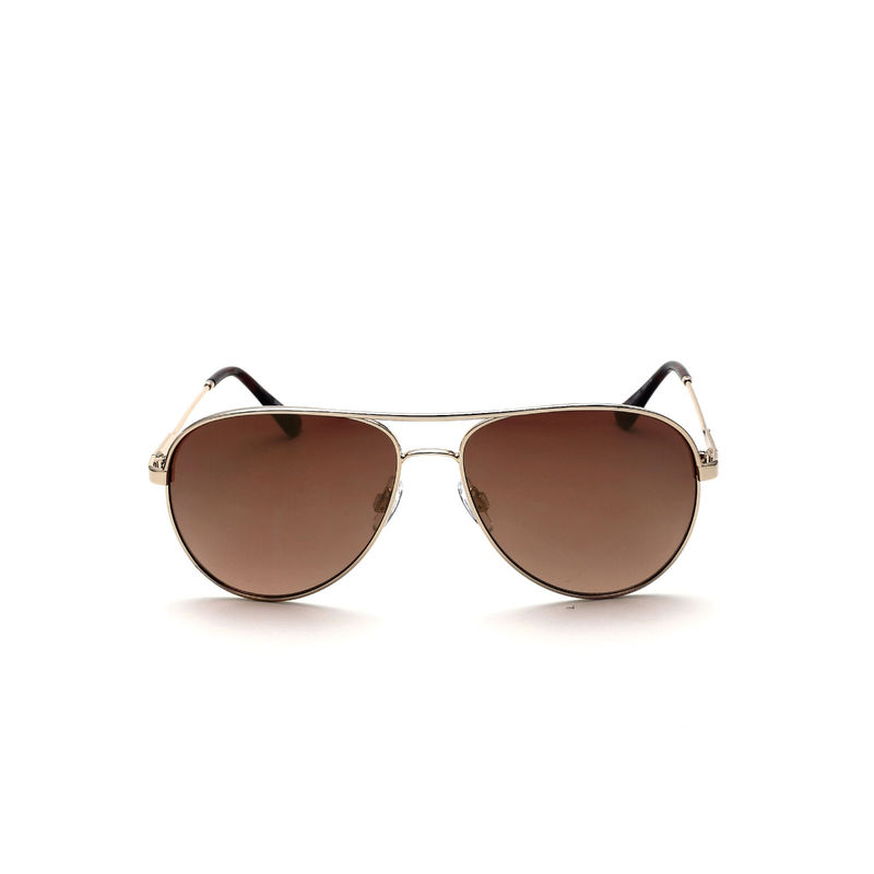 BEBE Women's Gold Tone Metal Frame Round Sunglasses
