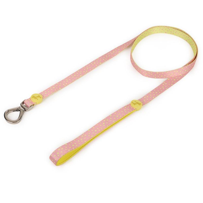 Heads Up For Tails Candy Sunshine Dog Leash (Small)