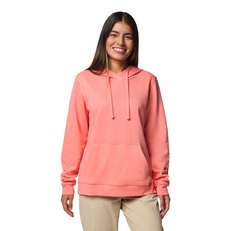 Columbia Womens Pink Beaumount Graphic Hoodie (L)