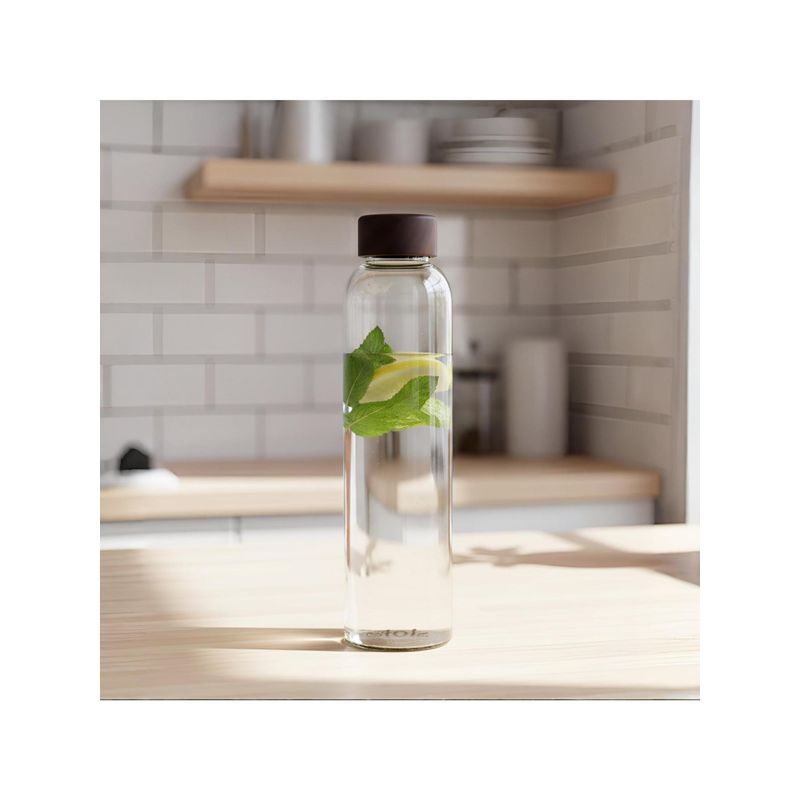 STOR Rustik Borosilicate Transparent Glass Bottle with Acacia Wood Lid (750ml)