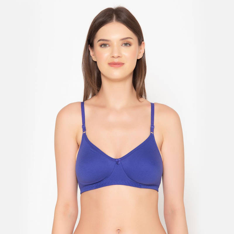 Groversons Paris Beauty Full Coverage Wireless Seamless Every Day T-Shirt Bra-Blue (30C)(30C) (30C)