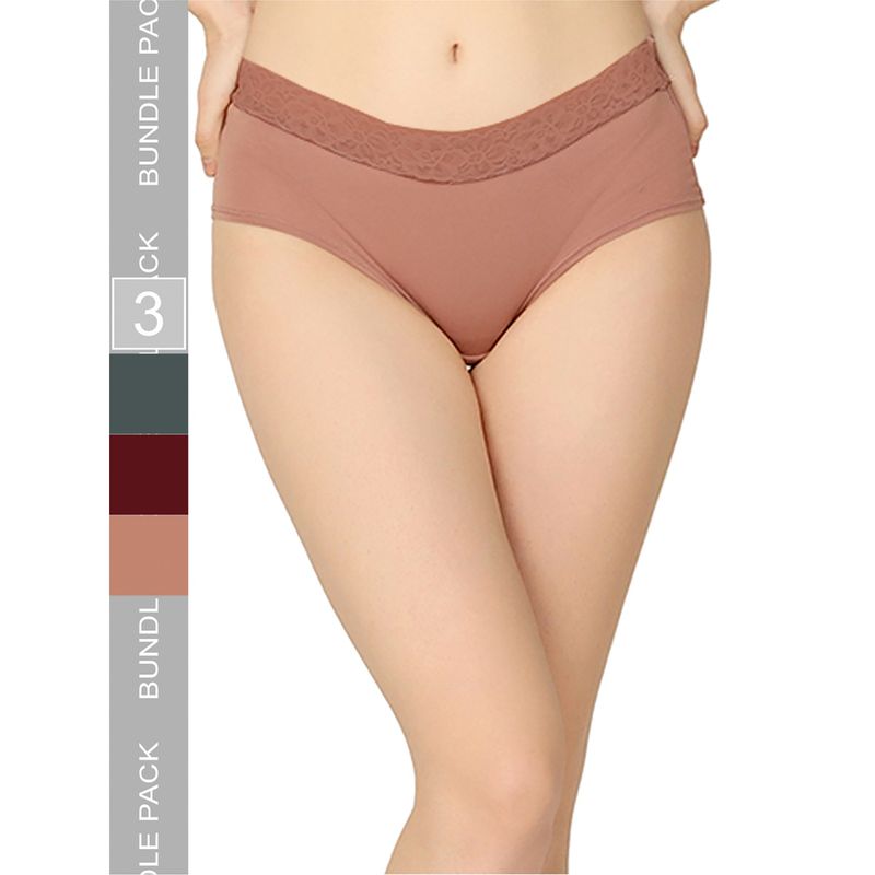 Curvy Love Organic Cotton Everyday V- Shape Multi-Color Panties (Pack of 3) (L)
