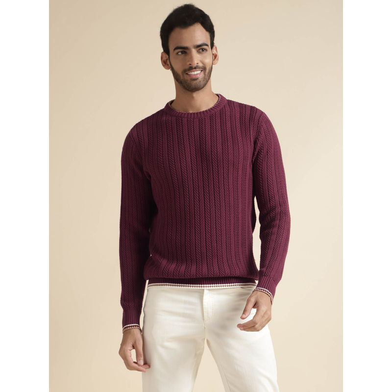 Andamen Mens Purple Full Sleeves Round Neck Regular Fit Sweater (S)