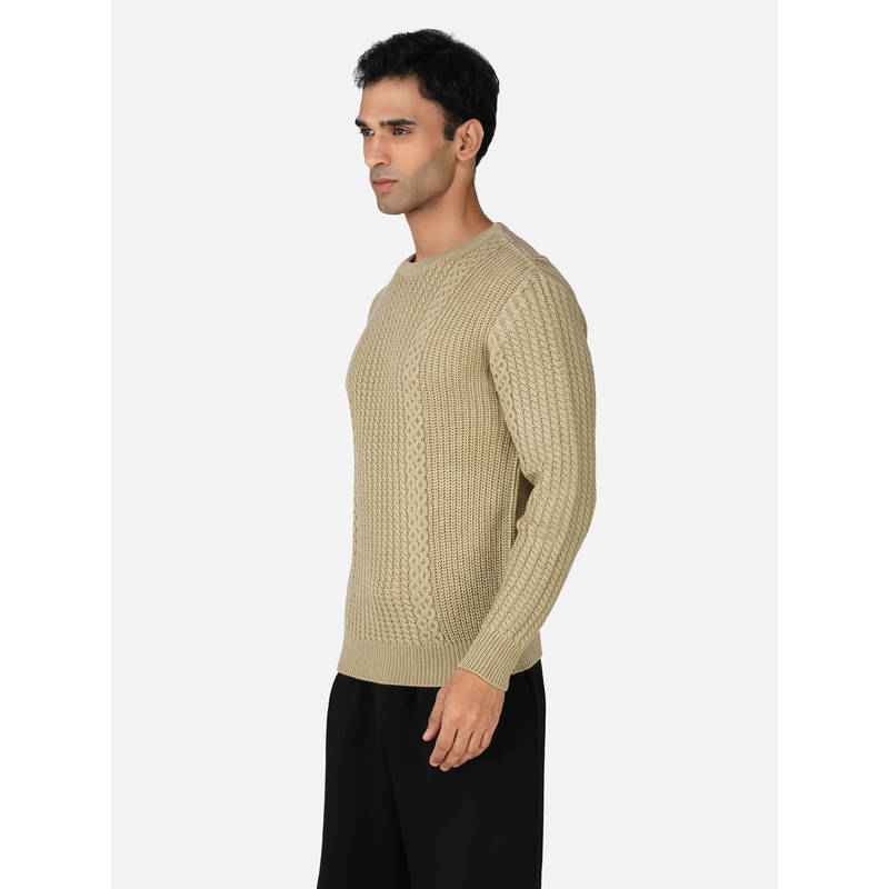 JOE Hazel Men Beige Round Neck Sweater (M)