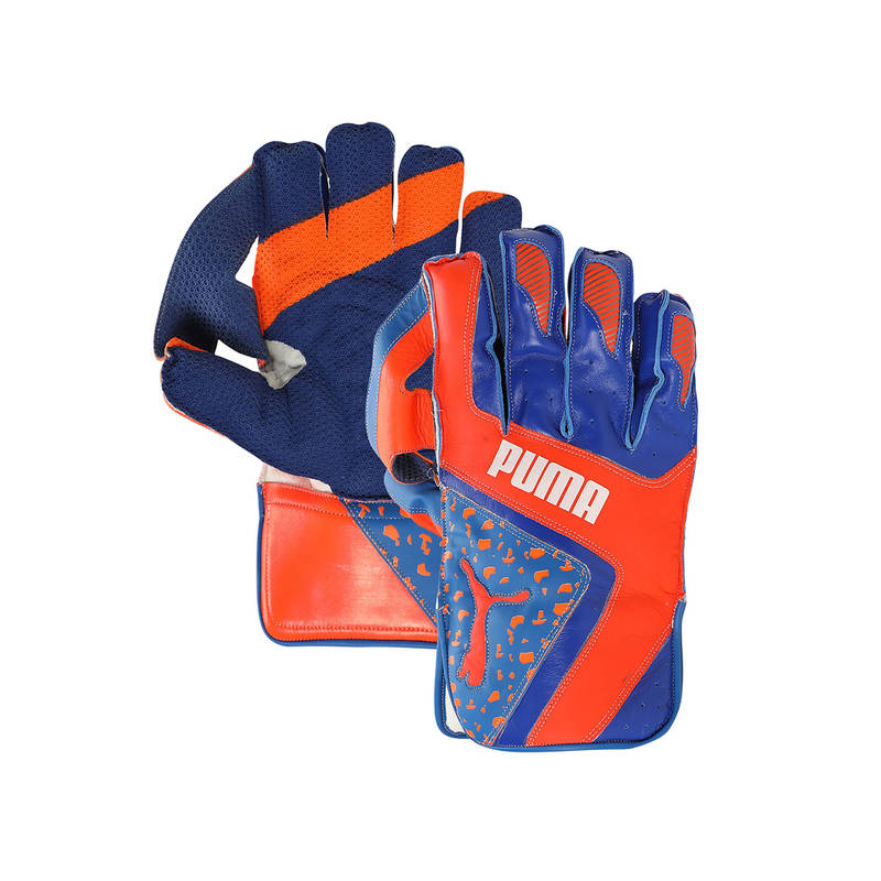 Buy Puma Future 1 Mens Blue Cricket Wicket Keeping Gloves Online