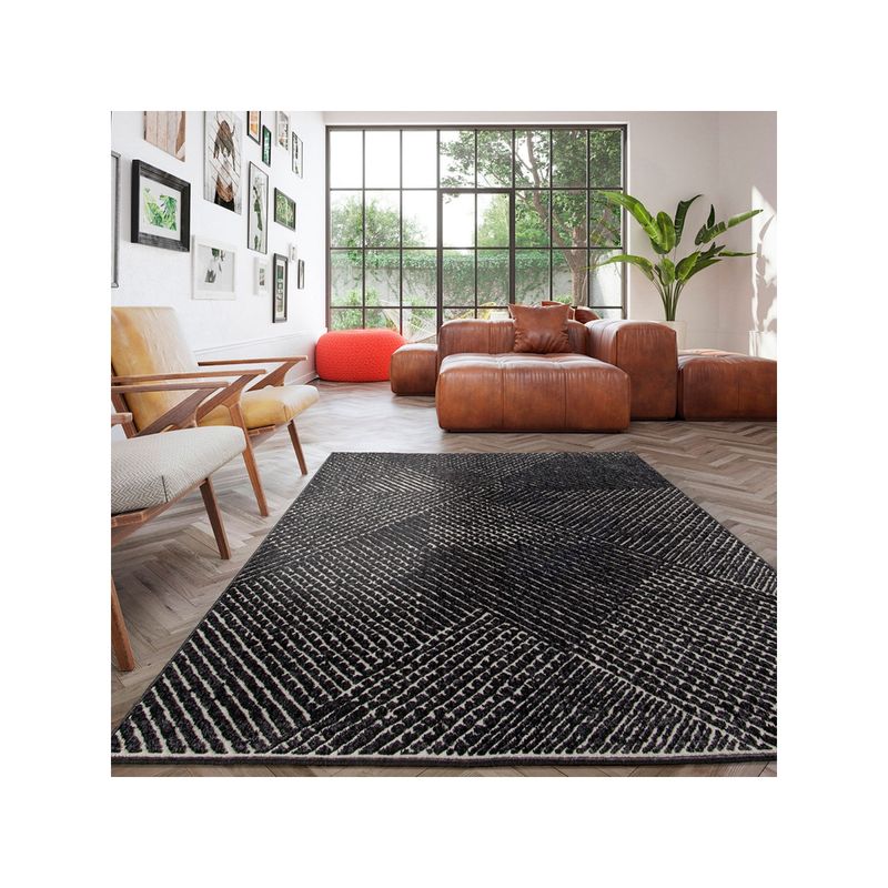 OBSESSIONS Super Soft Anti-Static Striped Indoor Carpet, Black (4 x 6 Feet)