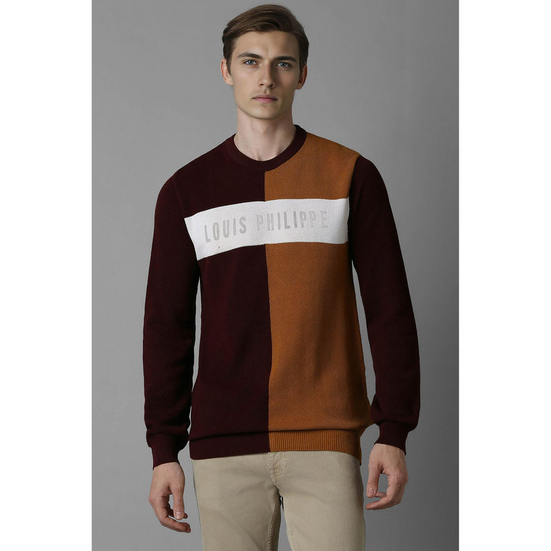 Louis Philippe Men Multi-Color Regular Fit Colorblock Full Sleeves Sweater (M)