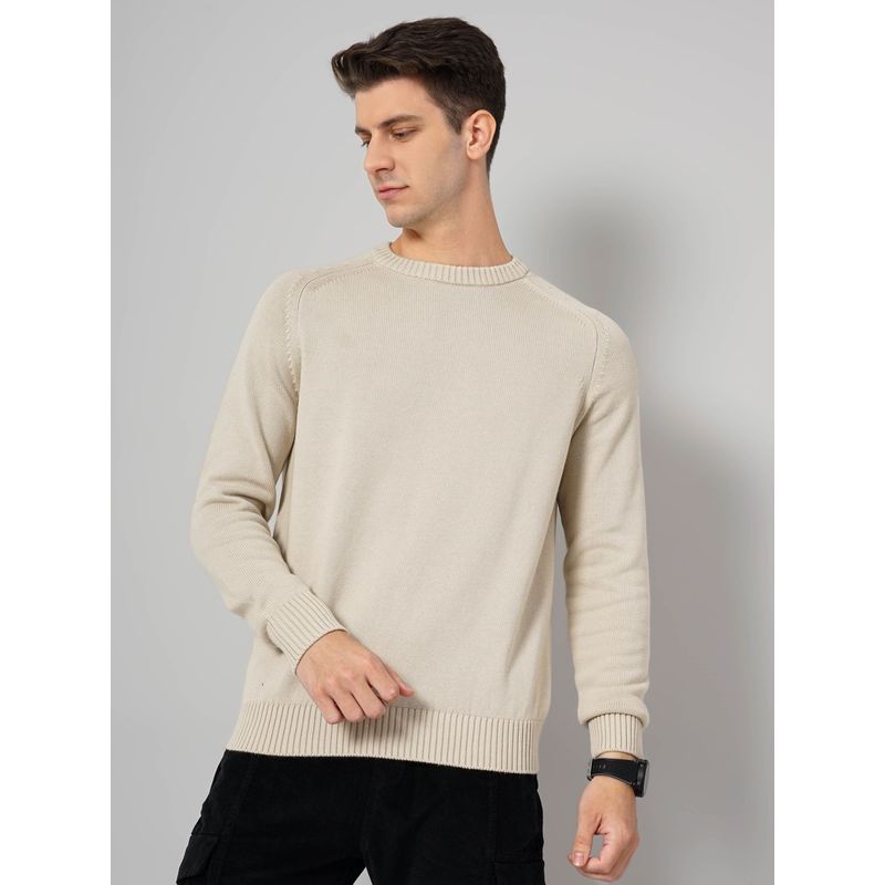 Celio Mens Solid Sweater (M)