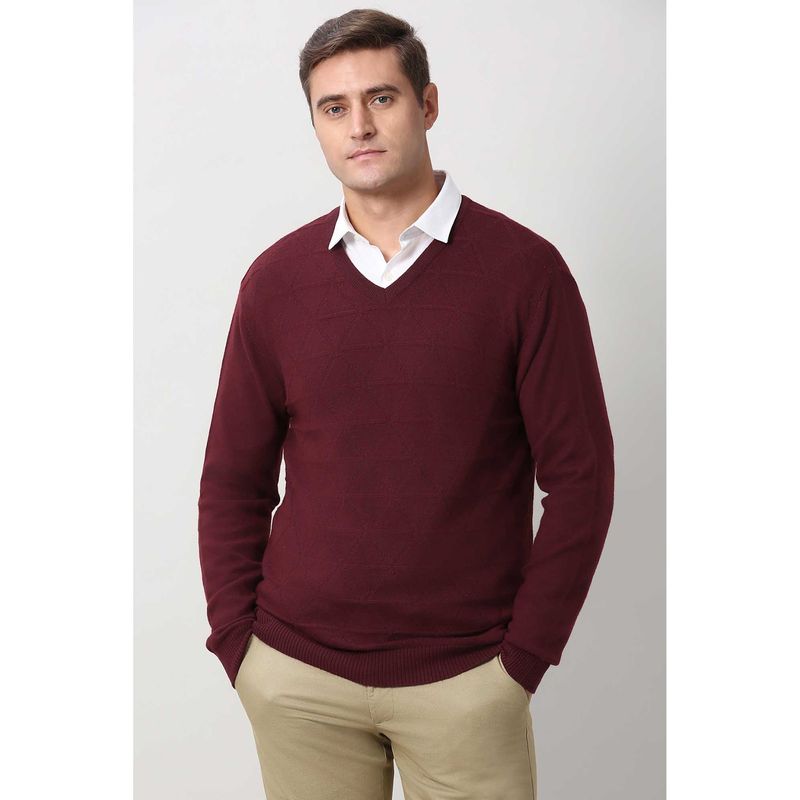 Peter England Men Maroon Textured V Neck Sweater (S)