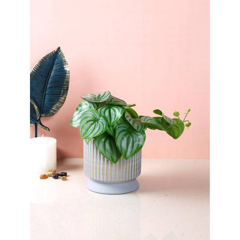 Buy Tayhaa Lavender Haze Ribbed Planter Online