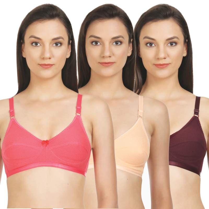 Bodycare Perfect Coverage Bra In Coral-Dark Peach-Wine Color (Pack of 3) - 30B