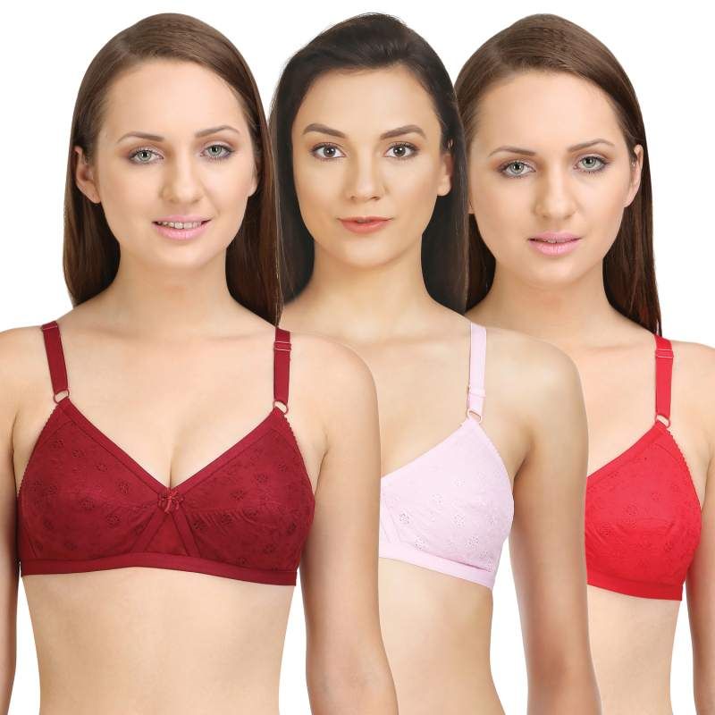Buy Bodycare Perfect Coverage Bra In Maroon-Red-Purple Color (Pack of 3)  Online