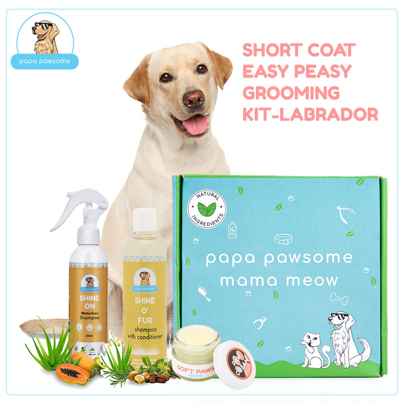 Papa Pawsome Short Coat Labrador Easy Peasy Grooming Kit