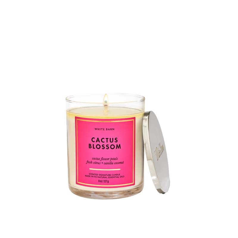 Bath & Body Works Cactus Blossom Signature Single Wick Candle Buy Bath