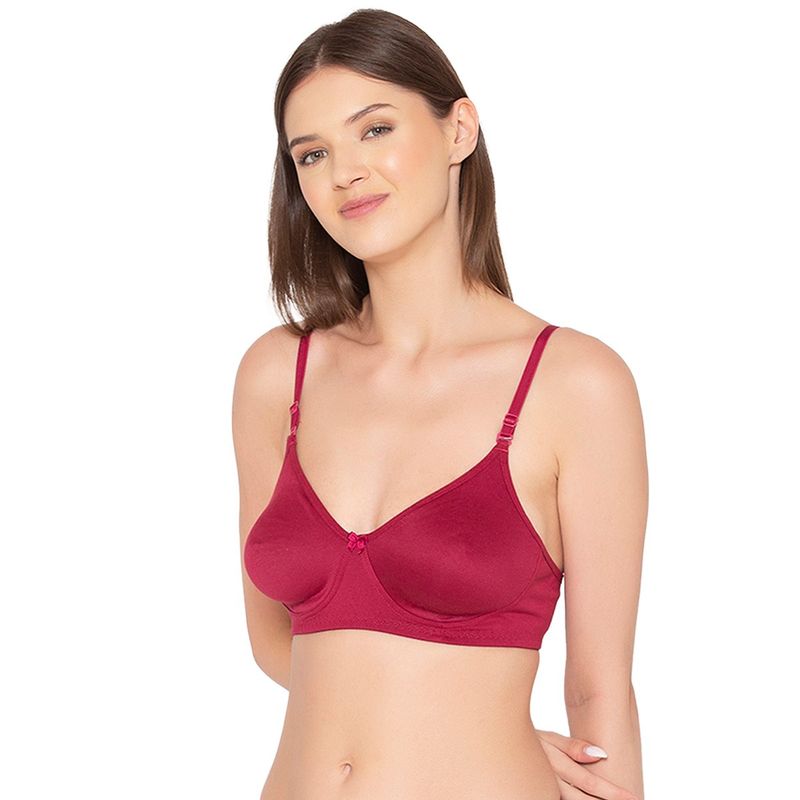 Groversons Paris Beauty Non-Padded Non-Wired Bra (32C)