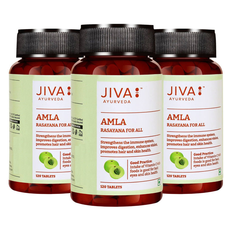 Jiva Ayurveda Amla Rasayana Tablets Pack of 3 Buy Jiva Ayurveda Amla