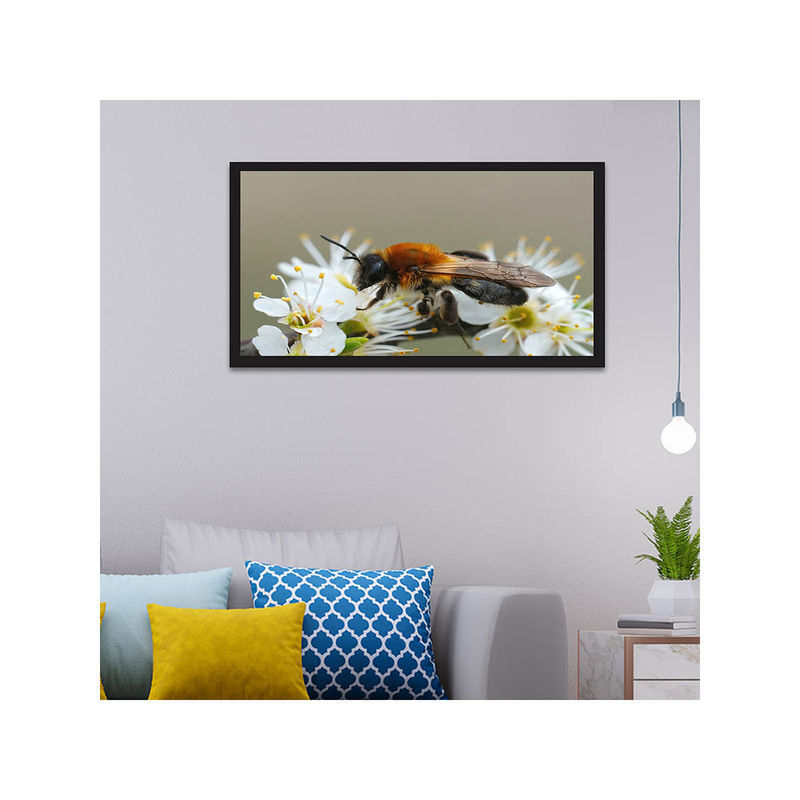 Dekorstation Beautiful Honey Bee On Flowers Floating Canvas Wall Painting (12x24 inches)
