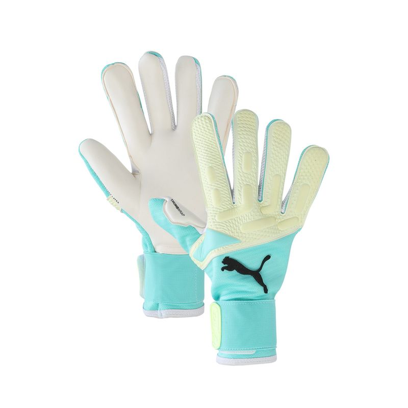 Buy Puma FUTURE Pro Hybrid Unisex Sea Green Goalkeeper Gloves Online