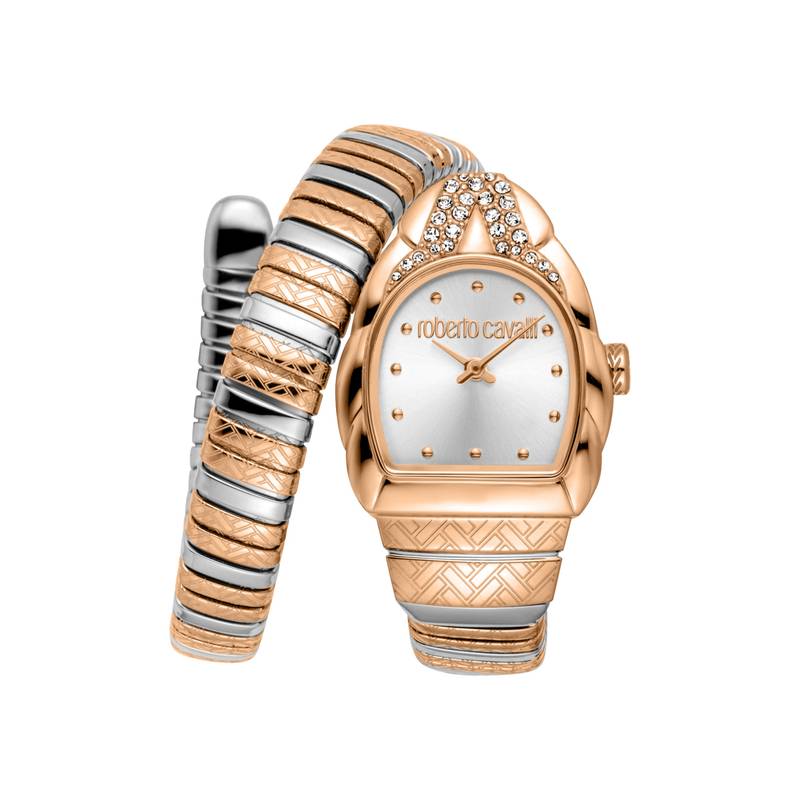 NWT Roberto Cavalli Aurora Silver-tone Dial Ladies Watch Roberto Cavalli Aurora Blue Dial Ladies Watch RC5L133M0025  main image 3