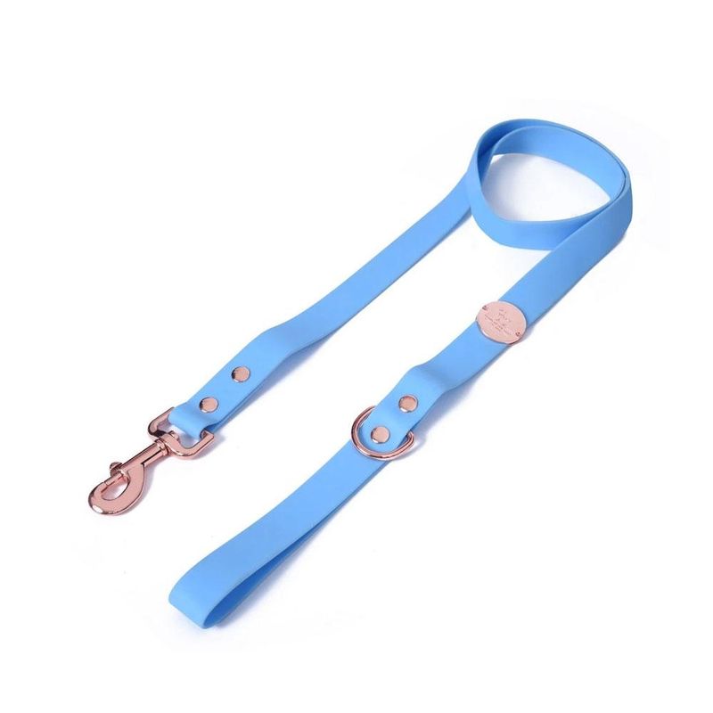 Heads Up For Tails Pastel Pawprint Rain Friendly Dog Leash - Blue (Small)