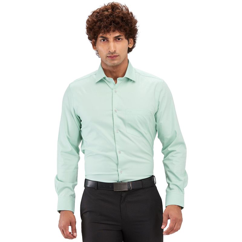 ColorPlus Regular Fit Solid Medium Green Formal Shirt (42)
