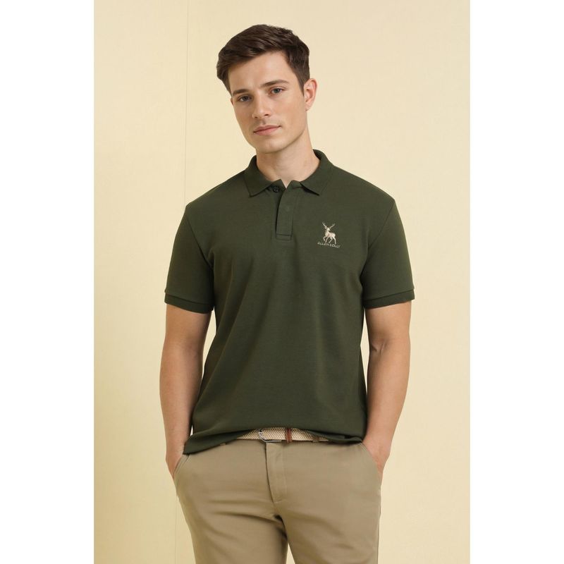 Allen Solly Men Olive Solid Polo T-shirt (2XL)
