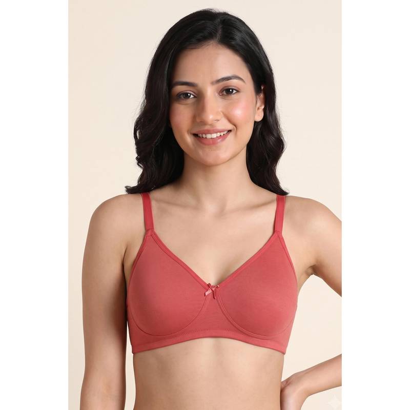 Zivame Double Layered Non Wired 3/4th Coverage T-shirt Bra - Faded Rose (34B)