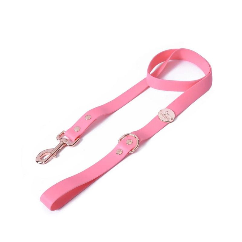 Heads Up For Tails Pastel Pawprint Rain Friendly Dog Leash - Pink (Small)