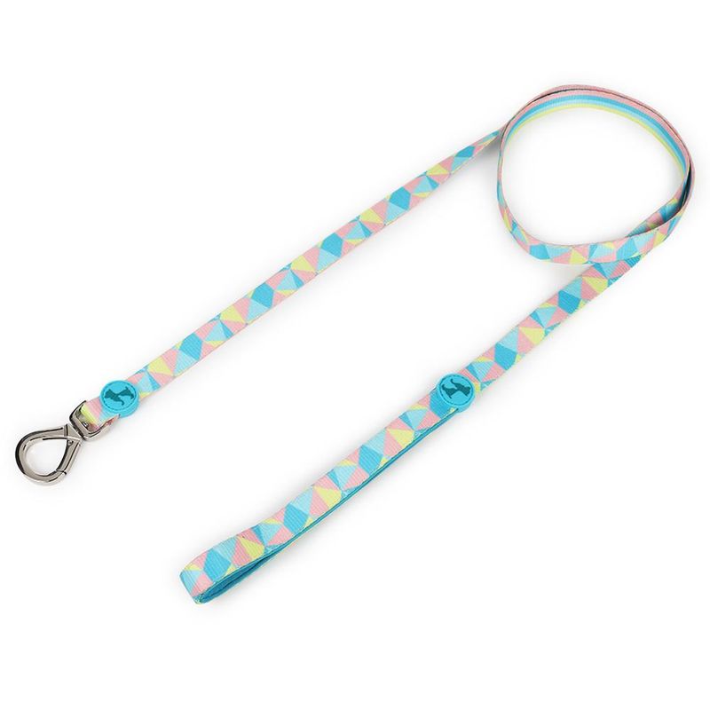 Heads Up For Tails Patchwork Slumber Dog Leash (Large)