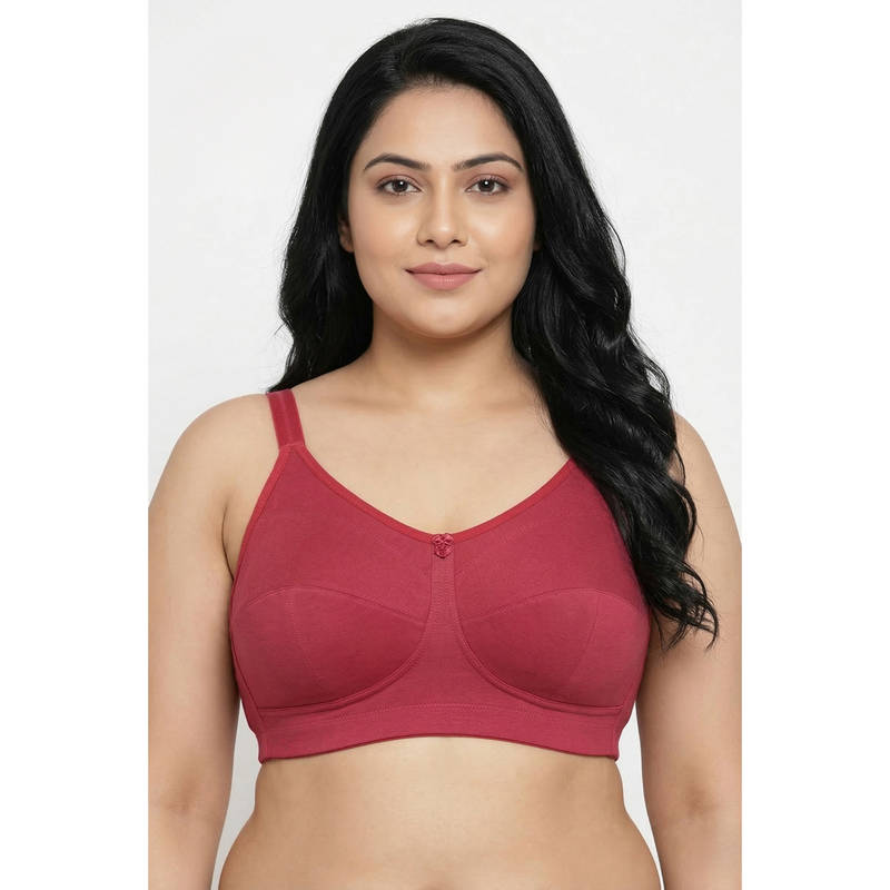 Zivame True Curv Double Layered Full Coverage Super Support T-Shirt Bra - Garnet Rose (34E)