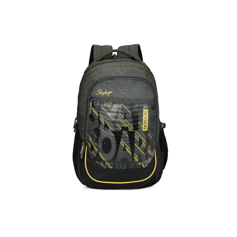 Hey Arthur Backpack Buy Skybags Arthur Laptop Backpack - H Black Online
