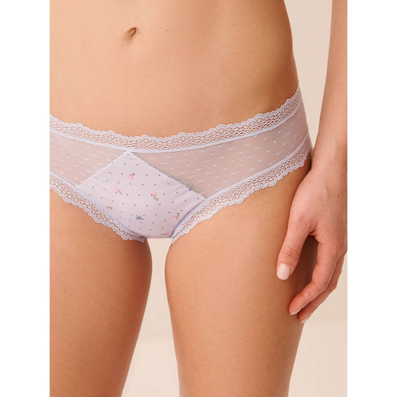 La Vie En Rose Mesh And Lace Trim Cheeky Panty Blue (S)