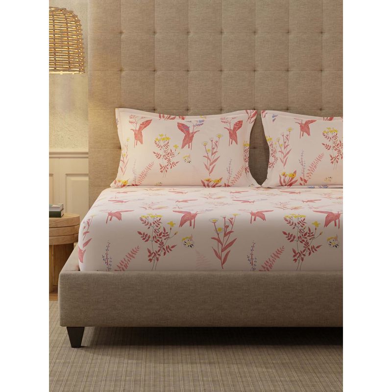 Urban Space Whisper Peach Cotton Bedsheet with 2 Pillow Covers (Queen)