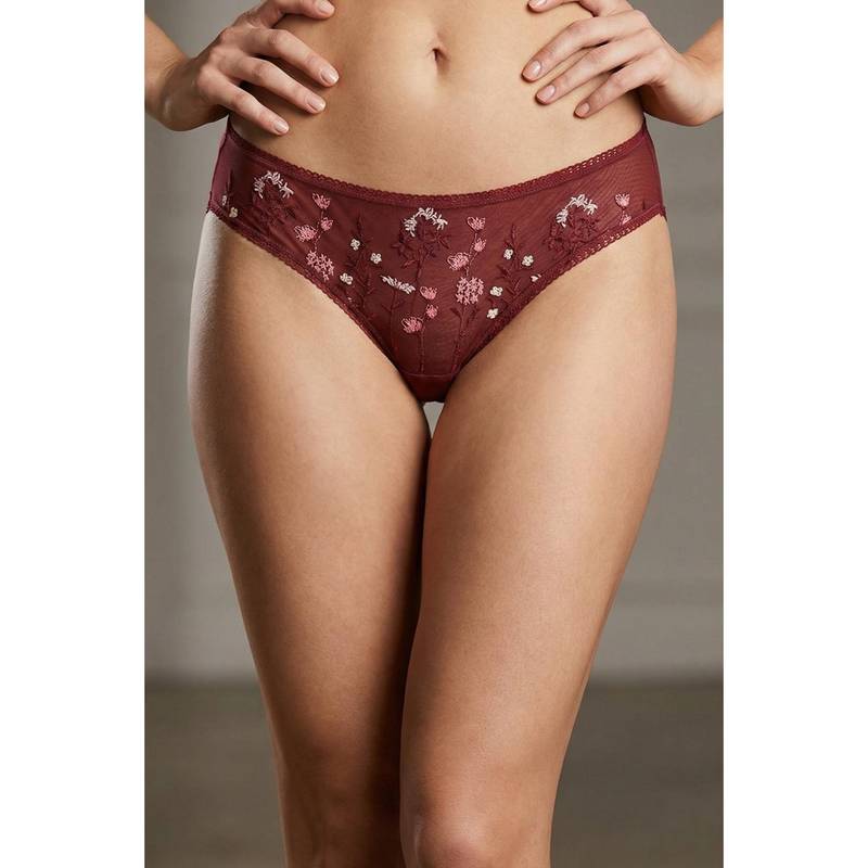 Zivame Brown Nylon Elastane Embroidered Hipster (L)
