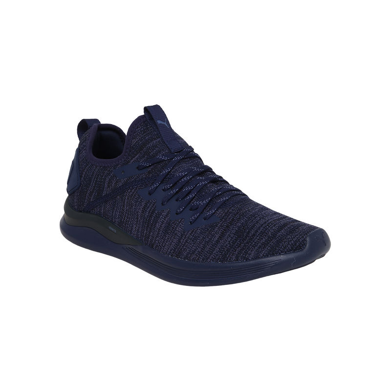 Puma Ignite Flash Evoknit Men S Training Shoes 8