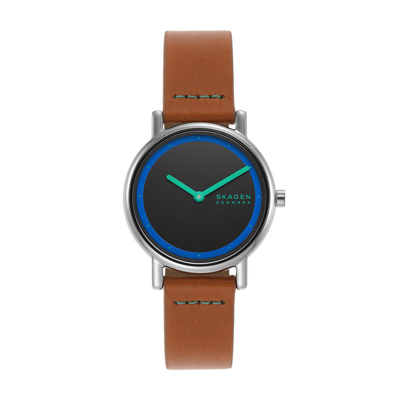 Buy Skagen Watch Balder Mens Online at desertcartINDIA