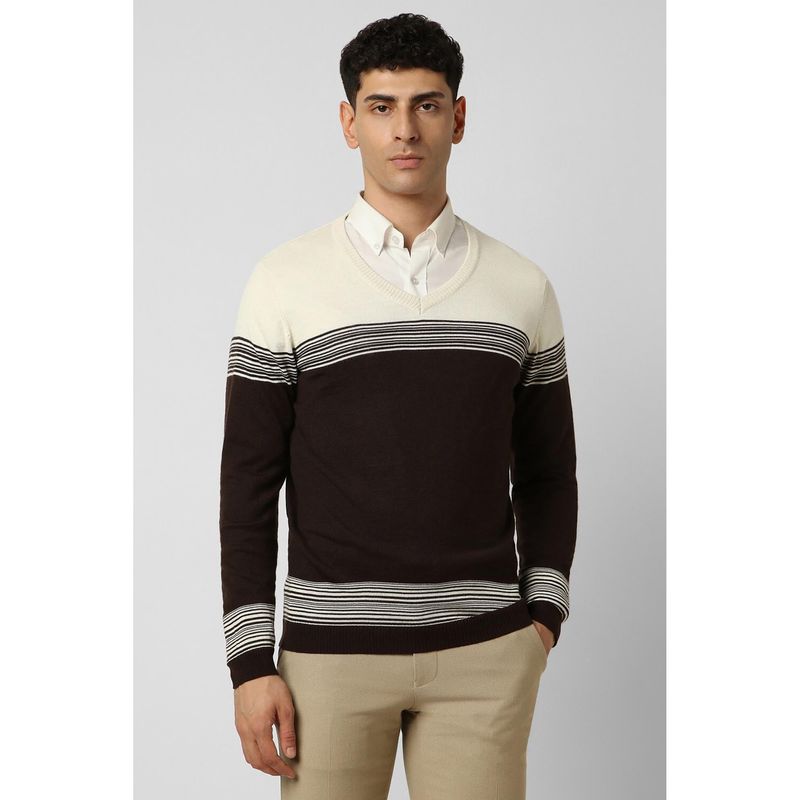 Van Heusen Men Brown Self Design V Neck Sweater (L)