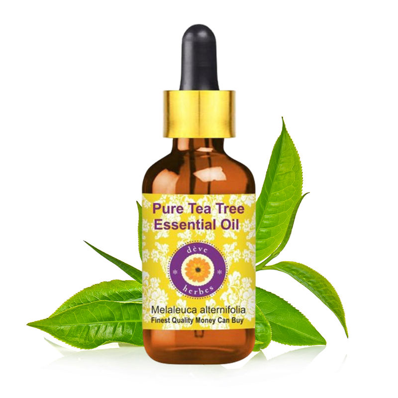 Deve Herbes Pure Tea Tree Essential Oil For Dandruff Control, Glowing Skin & Fades Acne Scars