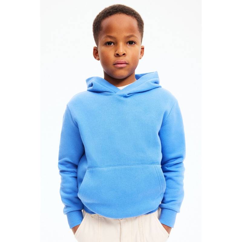 H&M Brushed-Inside Hoodie (4-6 Years) (4-6 Years)